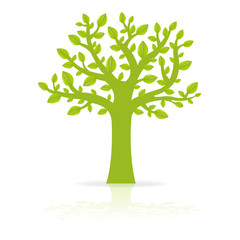 Eco Tree