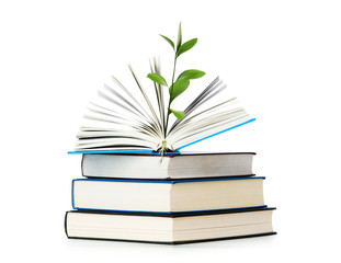 Knowledge concept - Leaves growing out of book