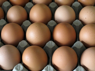 close up of eggs in cardboard container