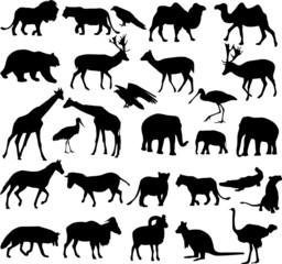 animals silhouettes collection - vector