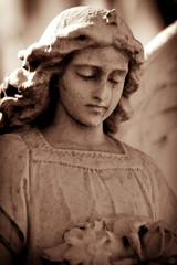 Weathered young angel in sepia tones