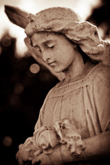 Weathered young angel in sepia tones