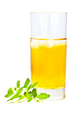 Herbal tea with green leaves on a tall glass