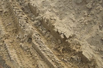 Car traces