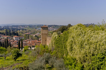 Fototapeta premium Florencja, Ogrody Bolboli i Pałac Pitti