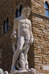 Obraz premium Firenze, Piazza della Signoria
