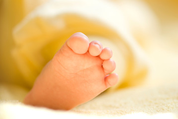 Lovely infant foot