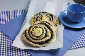 Mohnschnecken 04