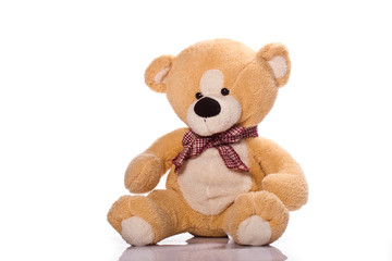 Teddy-bear isolated on a white background