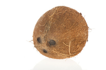 Fresh coconut