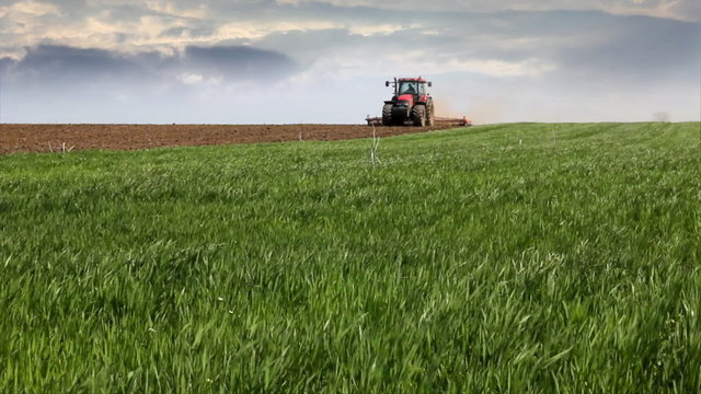 Wheat field and Tractor