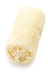 Loofah