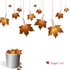 Autumn background with hanging leafs and a bucket.