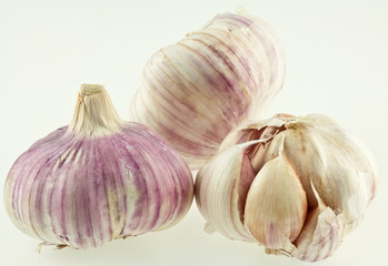 Obraz premium têtes d'ail