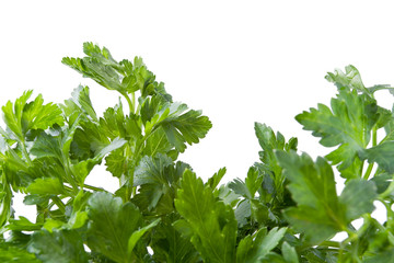 parsley