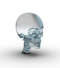 Male skull made of frosted glass.