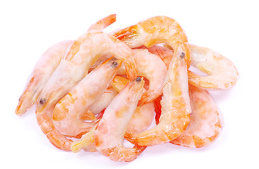 shrimp