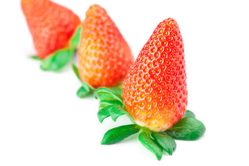 big juicy red ripe strawberries isolated on white