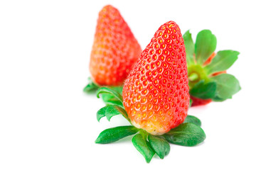 big juicy red ripe strawberries isolated on white
