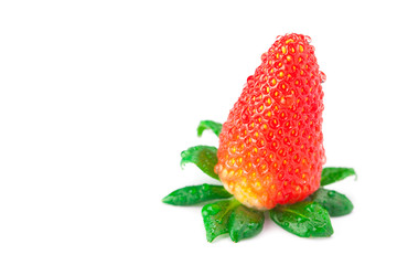 big juicy red ripe strawberries with water drops isolated on whi