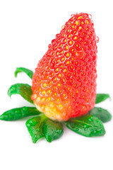 big juicy red ripe strawberries with water drops isolated on whi