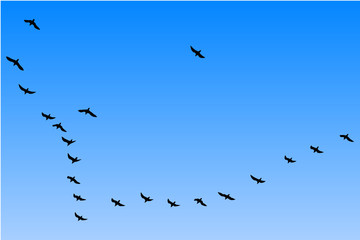 Formationsflug am Himmel