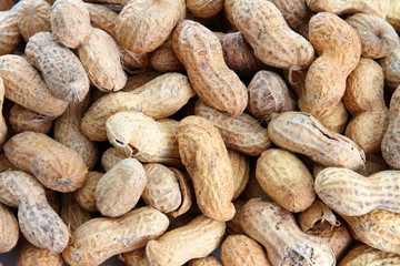 Fototapeta premium Bunch of peanuts