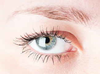 Obraz premium Human eye. macro shooting