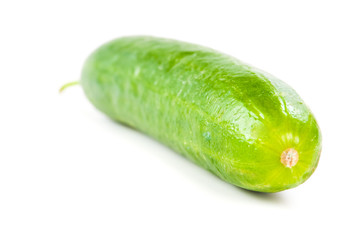 Healthy food. The green cucumber isolated on white background