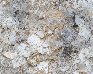 Structures of a great Chinese wall