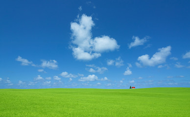 Green grass and red roof house