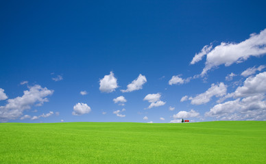 Green grass and red roof house