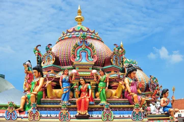 Photo sur Plexiglas Temple Des statues de divinités colorées dans un temple hindou