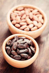 cocoa beans