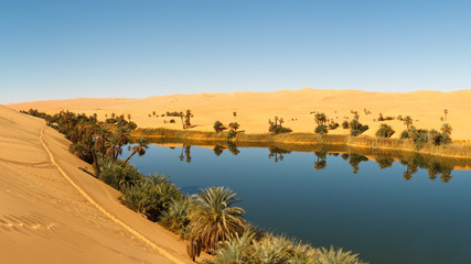 Umm al-Ma Lake - Desert Oasis, Sahara, Libya