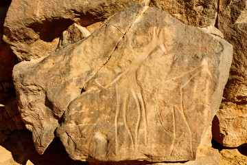 Giraffes Rock Engravings - Wadi Mathendous - UNESCO World Herita