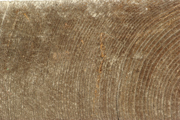 old wood texture