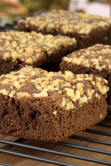 chocolate brownies with cracked peanuts on top