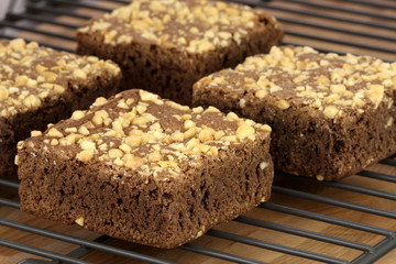 chocolate brownies with cracked peanuts on top