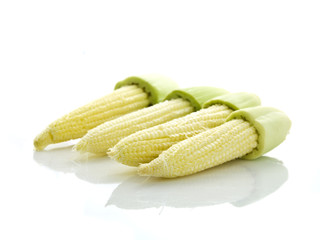 Freah baby corn isolated on white background