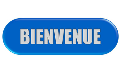 Button blau Seiten rund BIENVENUE