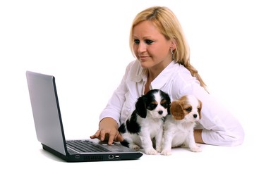 zwei Welpen und junge Frau mit Laptop
