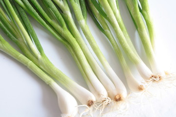 leek