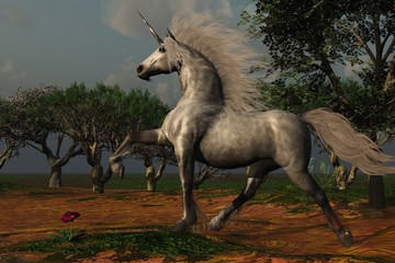 UNICORN FOREST © Catmando