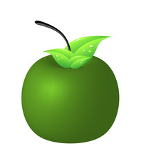 apple with leaf