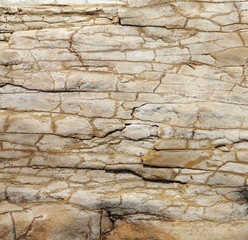 Stone Texture