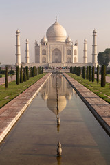 Taj Mahal, Indie - obrazy, fototapety, plakaty