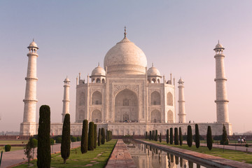 Taj Mahal, Indie - obrazy, fototapety, plakaty