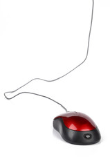 computer mouse