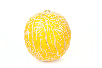 Melon